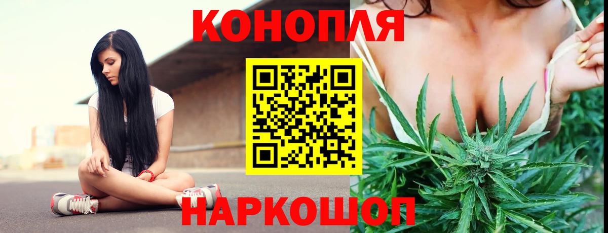 Бошки Шишки ГИДРОПОН Богданович